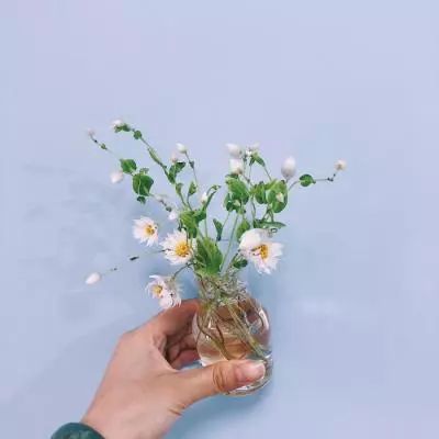 修真界手游bt版下载
